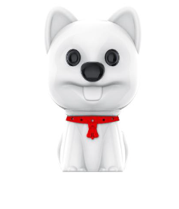Mini Enregistreur vocal Porte-clés 16Go F12
